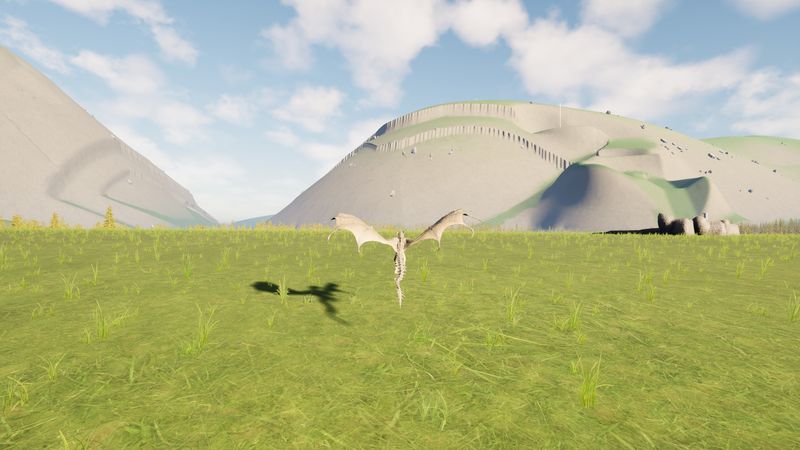 A hatchling's first flight.