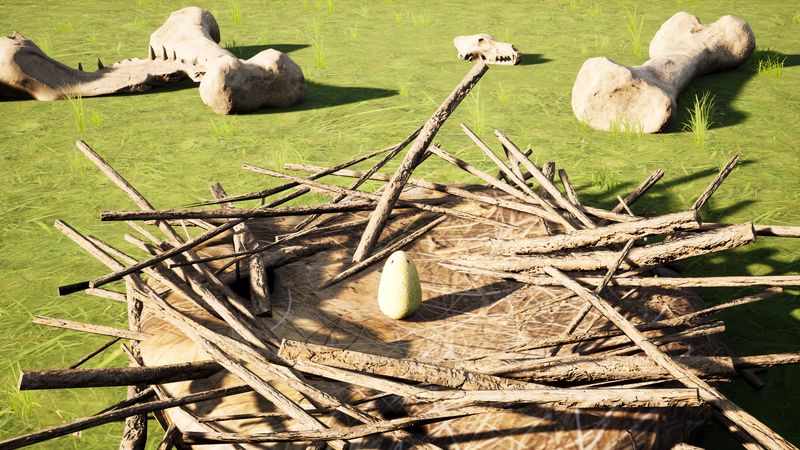 An egg in a nest of old bones.