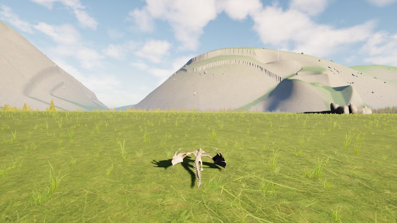 A hatchling in the grass.